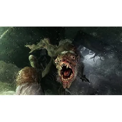 Playstation Metro Exodus (PS4)