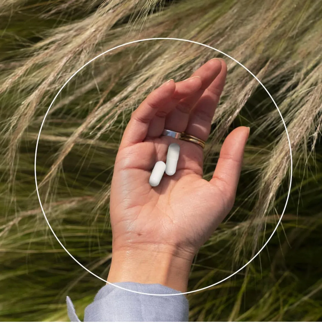 Stress Capsules | Full Spectrum CBD (750mg / 60ct)