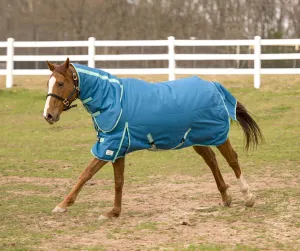 TuffRider EcoRider 1200 D Medium Weight Turnout Blanket w/Combo Neck 250GSM