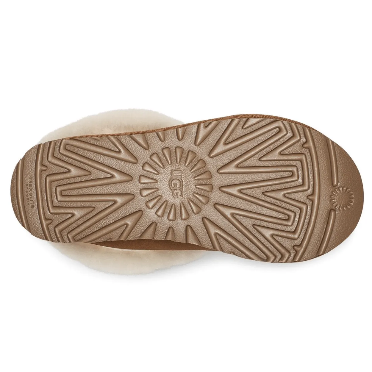 Women's Tazzette