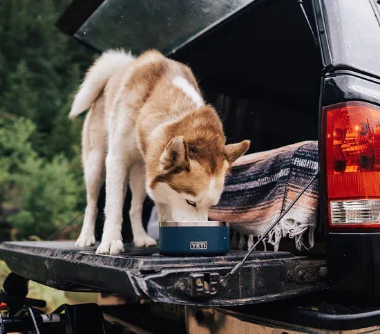 YETI Boomer 4 Dog Bowl - Stainless Steel